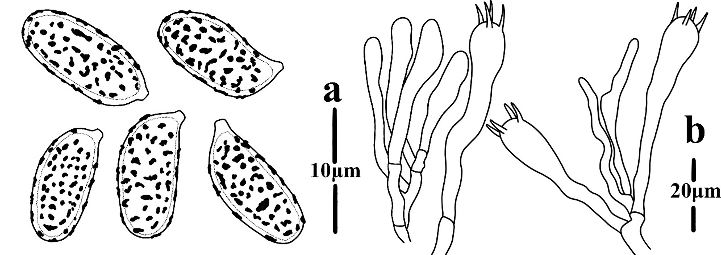 Figure 91